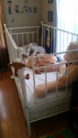 My Nursery